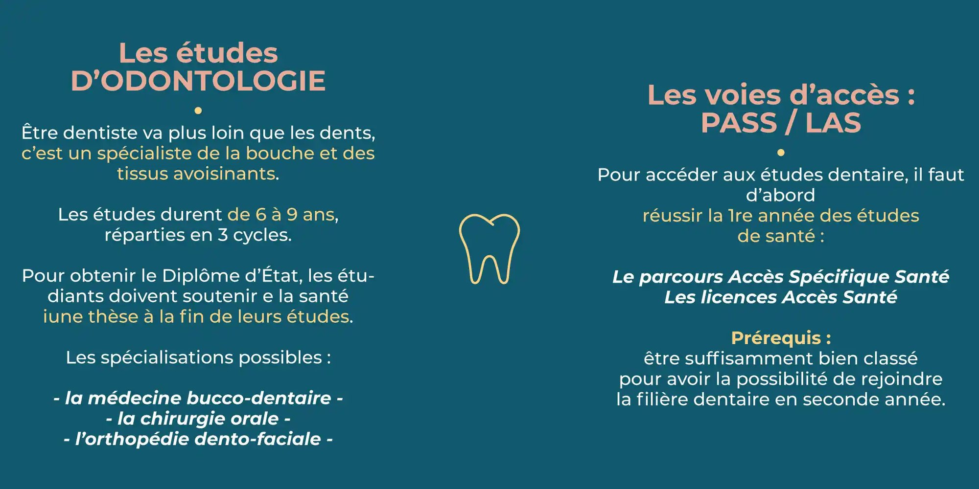 detail-etude-odontologie-prepamedecine-1